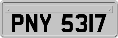 PNY5317