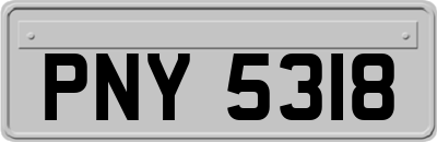 PNY5318