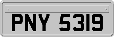 PNY5319