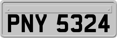 PNY5324
