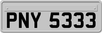 PNY5333