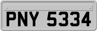 PNY5334