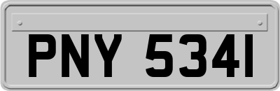 PNY5341