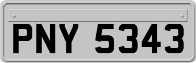 PNY5343