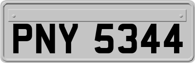 PNY5344