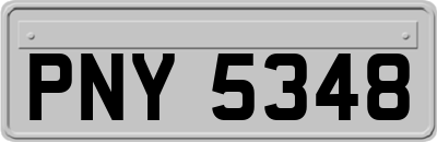 PNY5348
