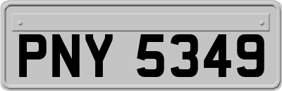 PNY5349
