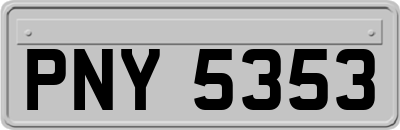 PNY5353