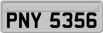 PNY5356