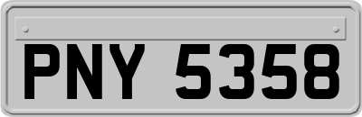 PNY5358