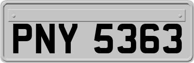 PNY5363