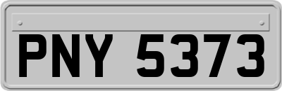 PNY5373