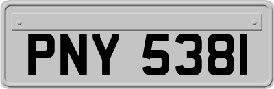 PNY5381
