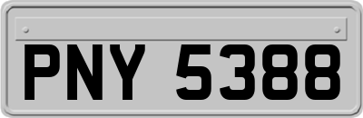 PNY5388