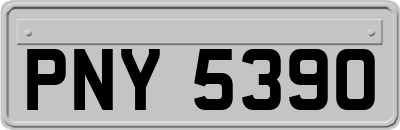 PNY5390