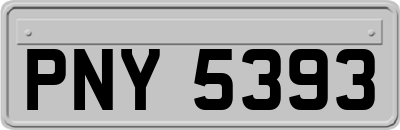 PNY5393