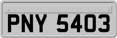 PNY5403