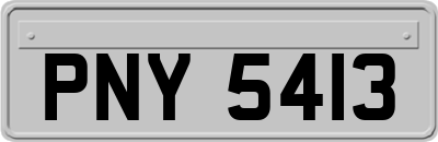PNY5413