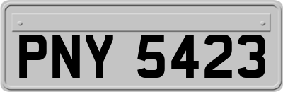 PNY5423