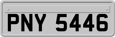 PNY5446