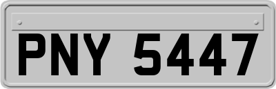 PNY5447