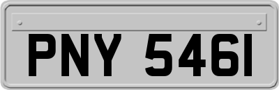 PNY5461