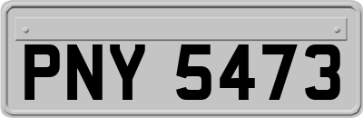 PNY5473