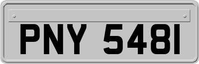 PNY5481