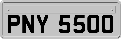 PNY5500