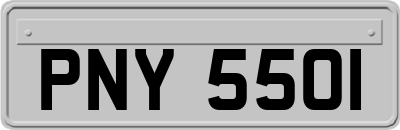 PNY5501
