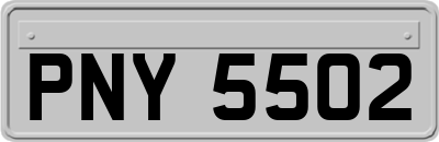 PNY5502
