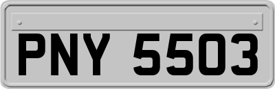 PNY5503