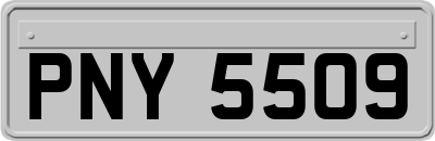 PNY5509