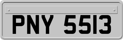 PNY5513