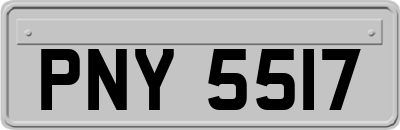 PNY5517