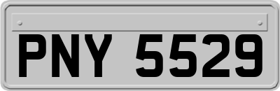 PNY5529