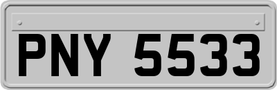 PNY5533
