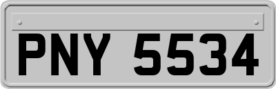 PNY5534