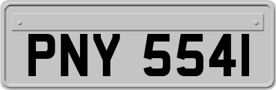 PNY5541