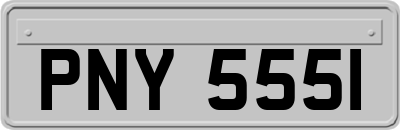 PNY5551