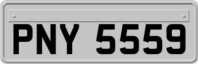 PNY5559