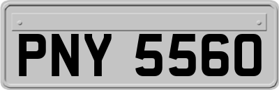 PNY5560