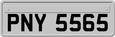 PNY5565
