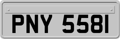 PNY5581