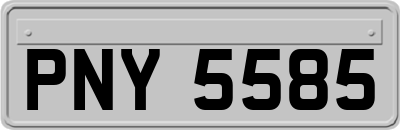 PNY5585