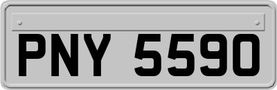 PNY5590