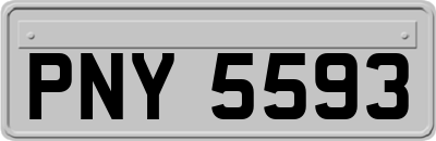 PNY5593