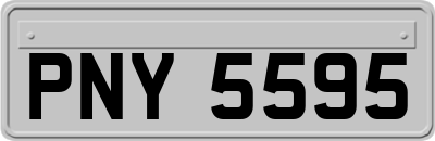 PNY5595