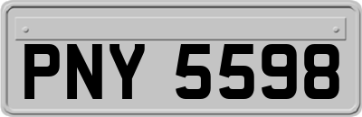 PNY5598
