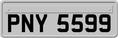 PNY5599